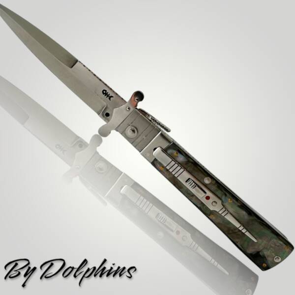 Swinguard  by Luigi GuerraDolphins - immagine 5