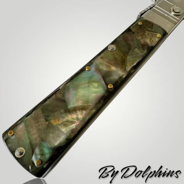 Swinguard  by Luigi GuerraDolphins - immagine 8